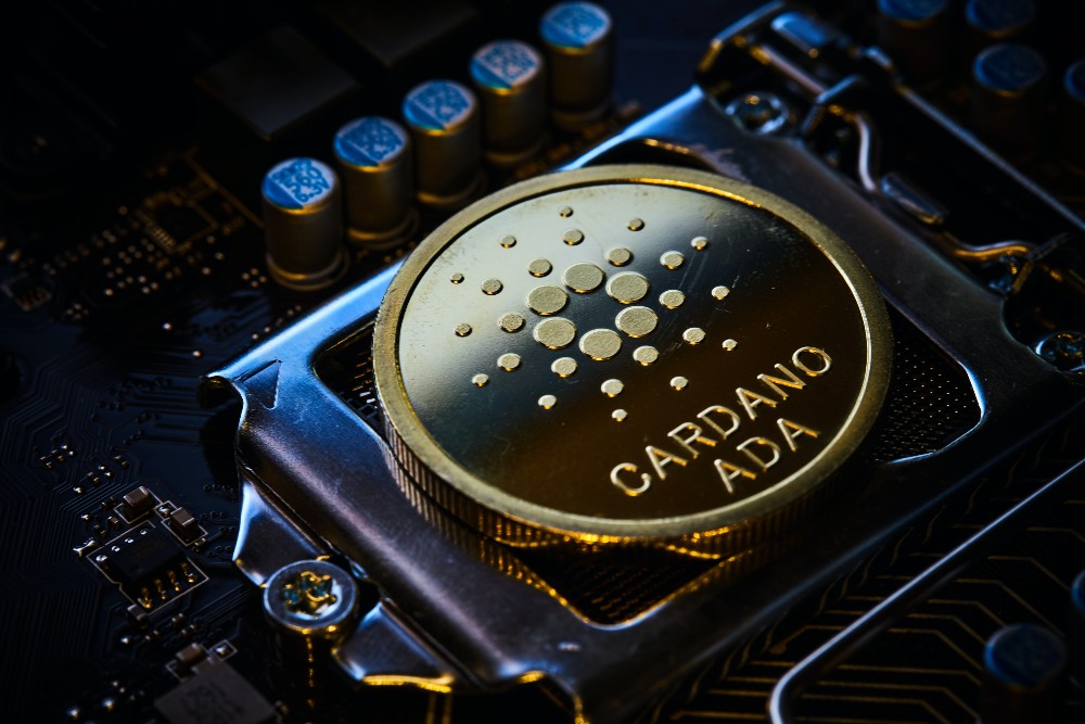 zlatni novcic cardano ade