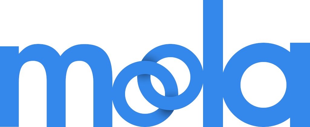 logo moola
